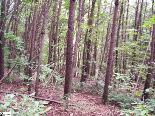 343 Gauley Falls Road #Lot 87 Gauley Falls, Pickens, SC 29671