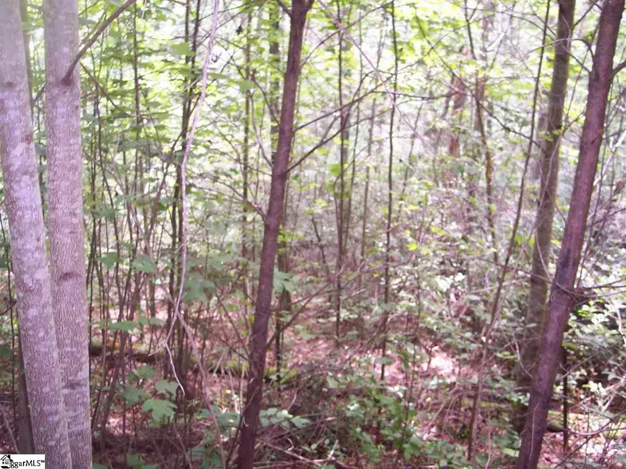 343 Gauley Falls Road #Lot 87 Gauley Falls, Pickens, SC 29671 - #2