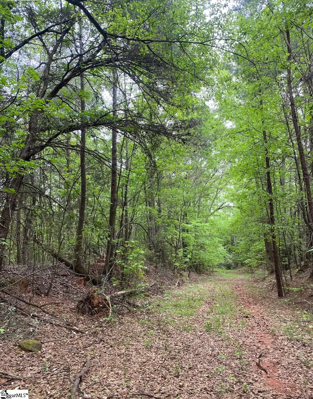 00 Wingo Road, Wellford, SC 29385 - #1