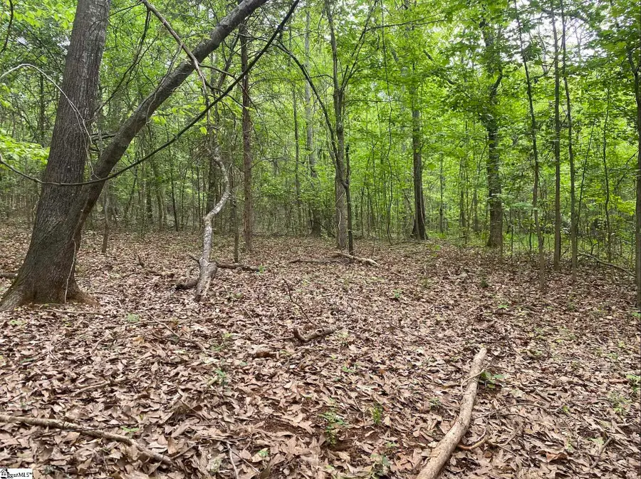 00 Wingo Road, Wellford, SC 29385 - #2