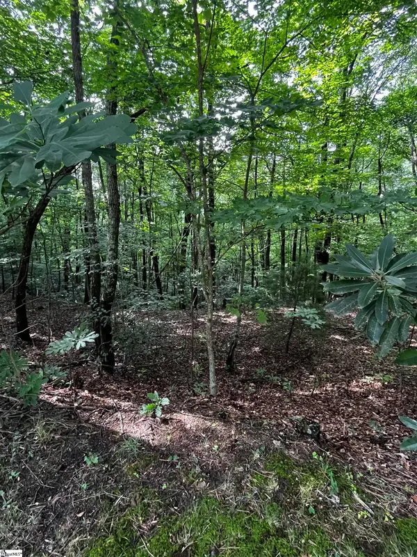 000 Cliff Ridge Drive #Lot 253, Cleveland, SC 29635