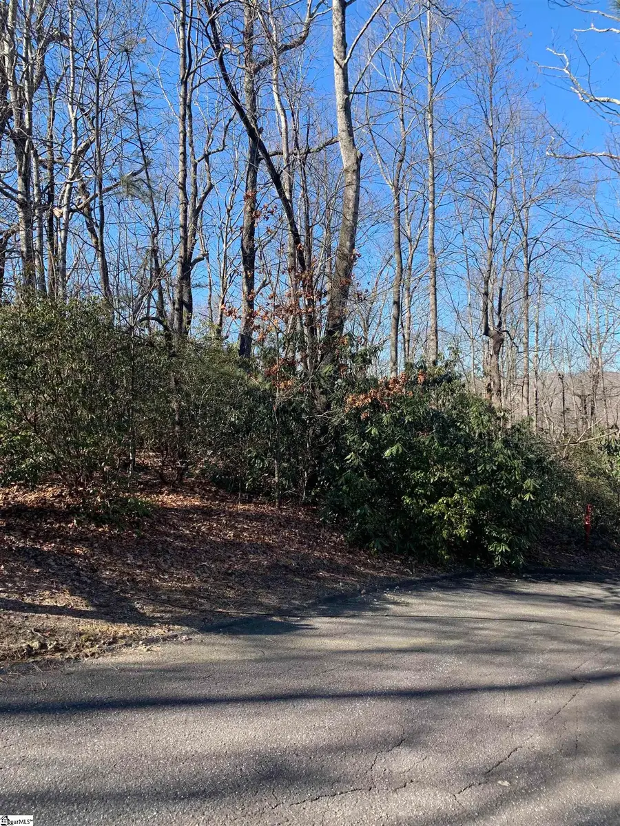 000 Cliff Ridge Drive #Lot 253, Cleveland, SC 29635 - #2