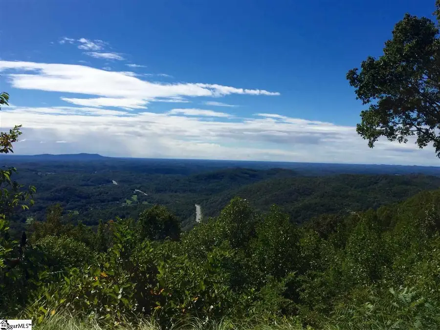 1511 Panther Park Trail, Travelers Rest, SC 29690 - #3