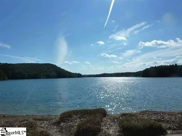 106 Dutchmans Pipe Trail, Sunset, SC 29685 - #2