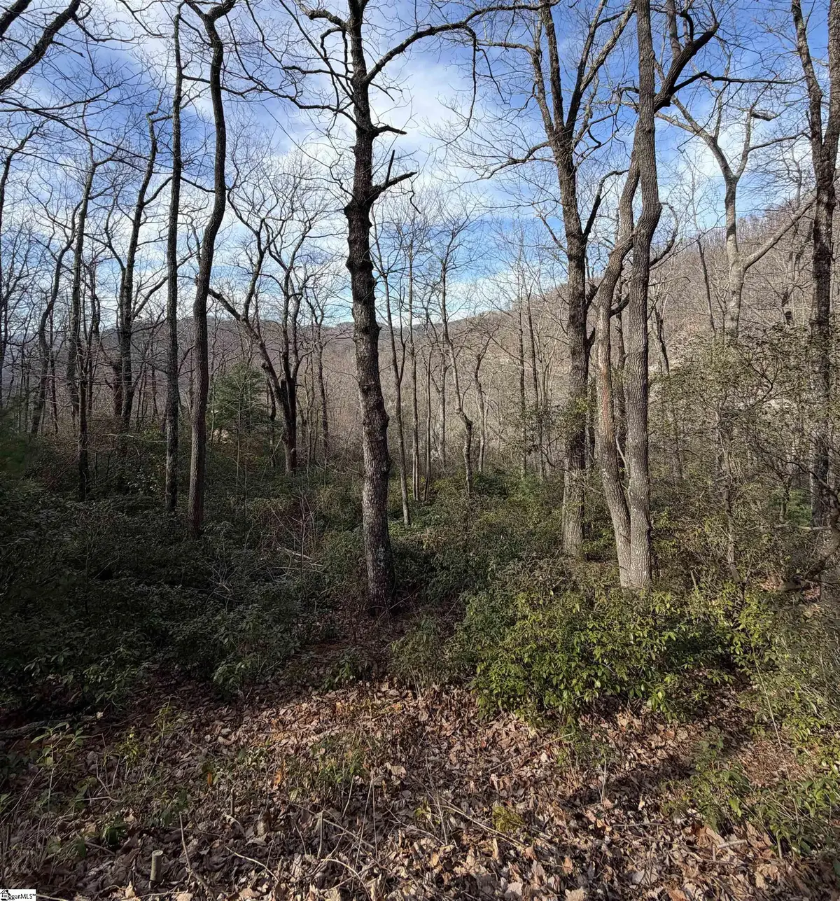 21 High Vista Way, Travelers Rest, SC 29690 - #1