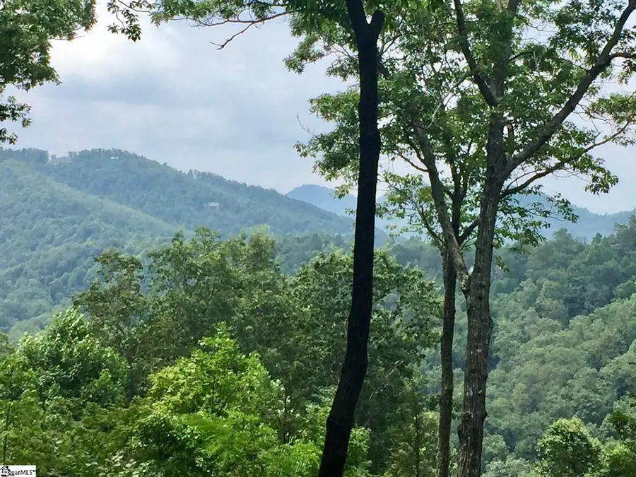 21 High Vista Way, Travelers Rest, SC 29690 - #2