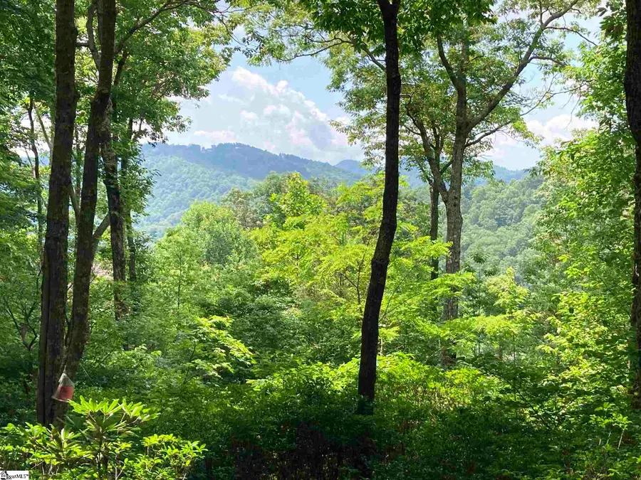 21 High Vista Way, Travelers Rest, SC 29690 - #3