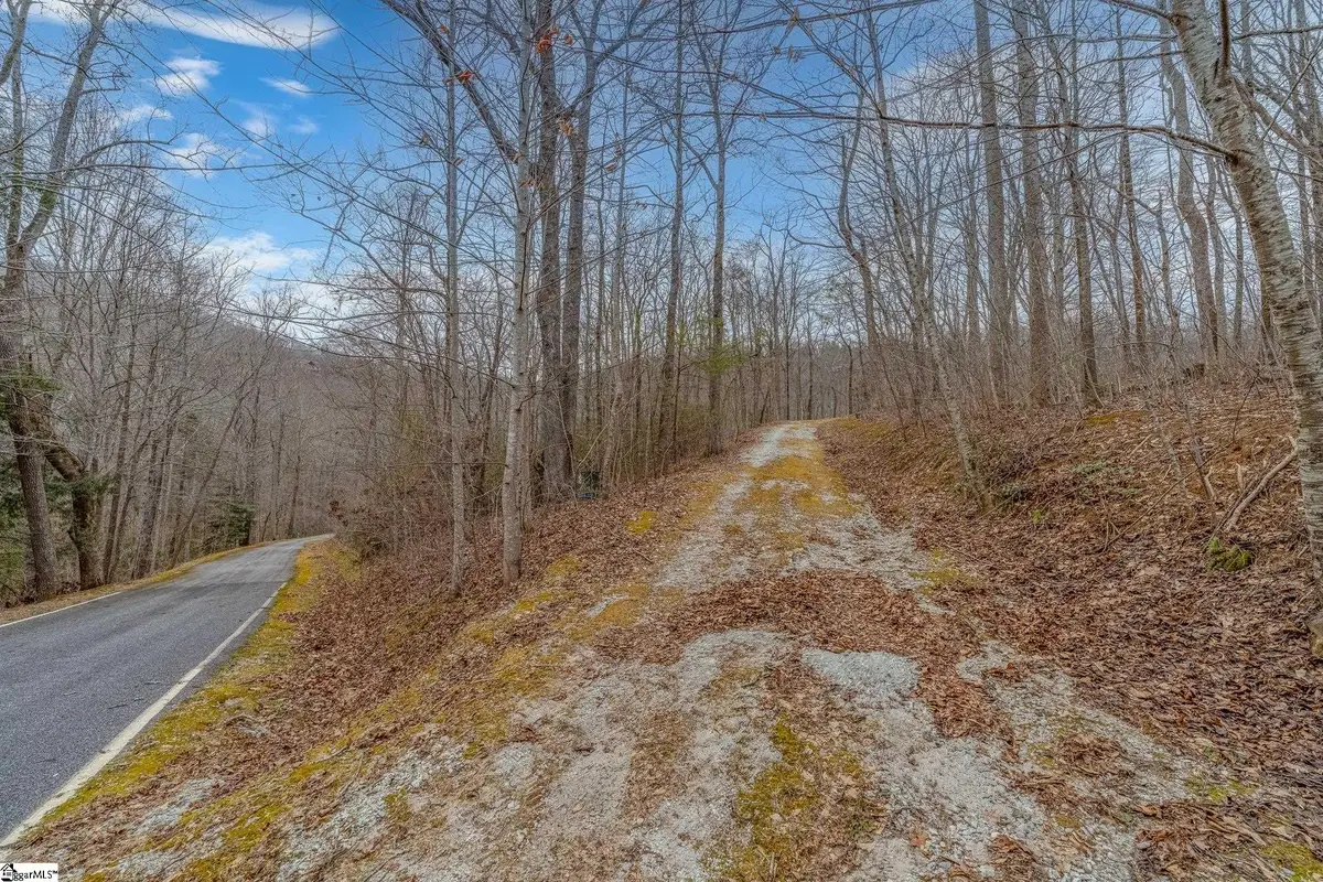 8 Granite Falls Drive, Landrum, SC 29356-3329 - #1