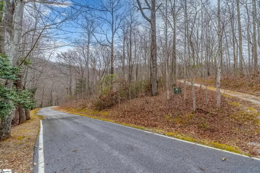 8 Granite Falls Drive, Landrum, SC 29356-3329 - #2