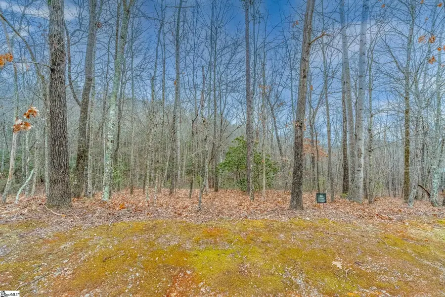 30 Lakes Edge Way, Marietta, SC 29661 - #2