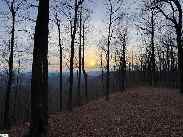 278 Bella Vista Court, Zirconia, NC 28790