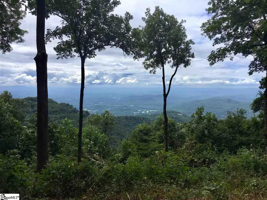 278 Bella Vista Court, Zirconia, NC 28790 - #3