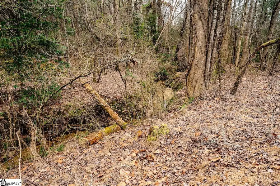 00 Dalton Road, Marietta, SC 29661 - #3