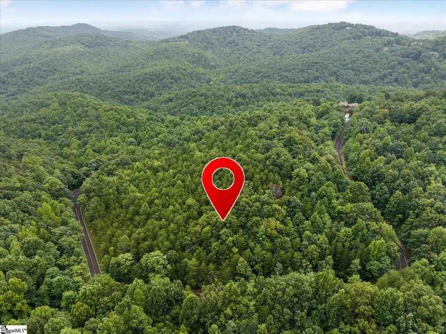 234 Craggy Rock Lane, Landrum, SC 29356 - #3