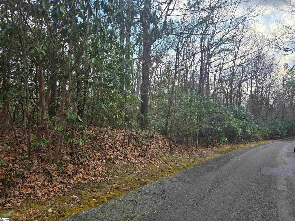 111 Columbine Way, Cleveland, SC 29635 - #1