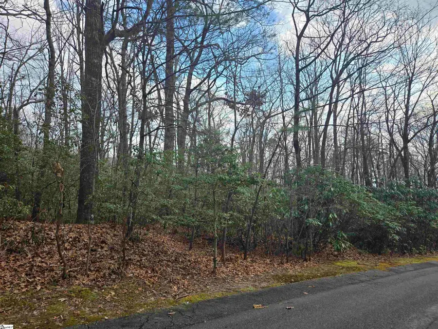 111 Columbine Way, Cleveland, SC 29635 - #2