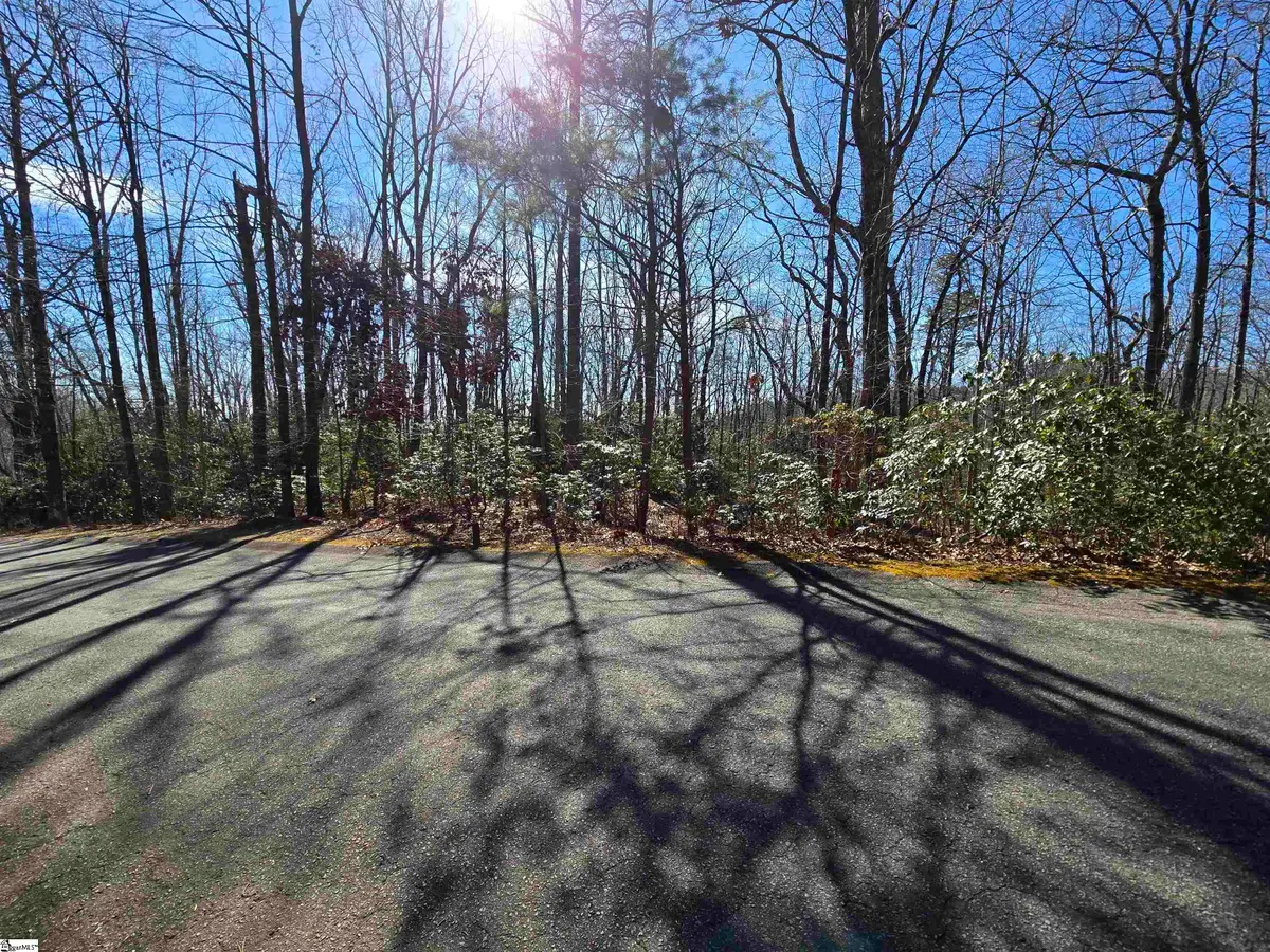 120 Birchbend, Cleveland, SC 29635 - #1