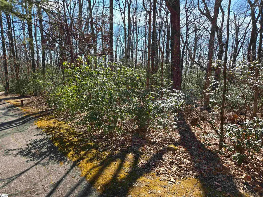 120 Birchbend, Cleveland, SC 29635 - #2