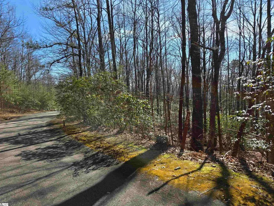 116 Birchbend, Cleveland, SC 29635 - #2