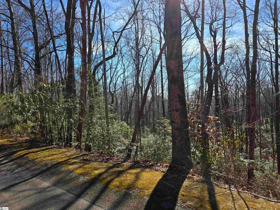 112 Birchbend, Cleveland, SC 29635 - #2