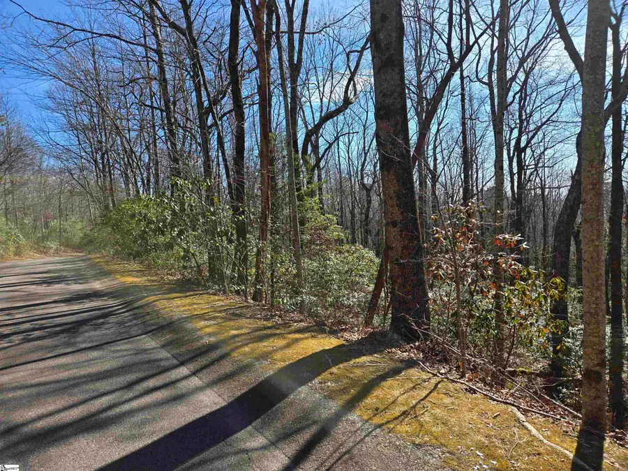 112 Birchbend, Cleveland, SC 29635 - #3