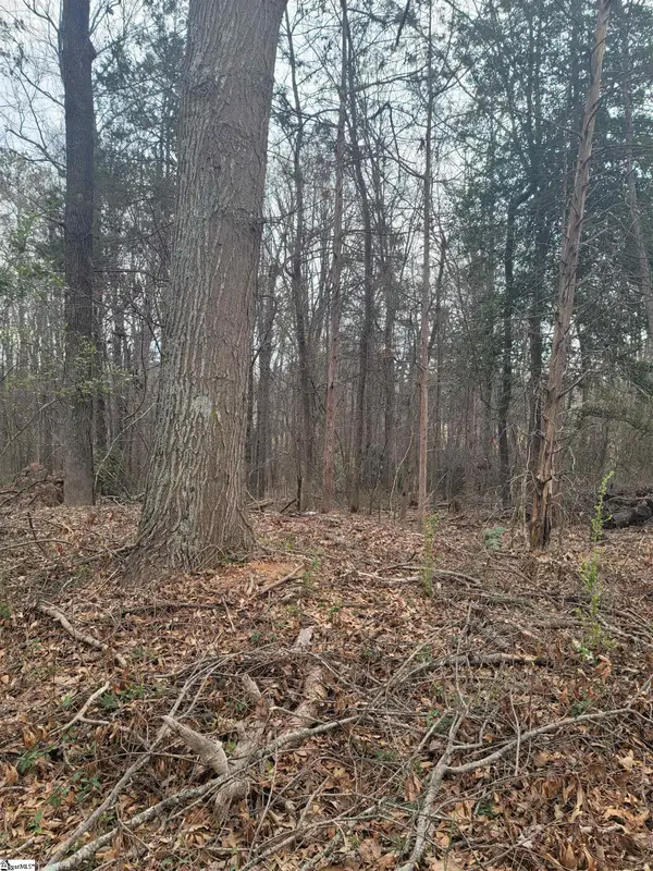 Thompson Road, Greenville, SC 29607