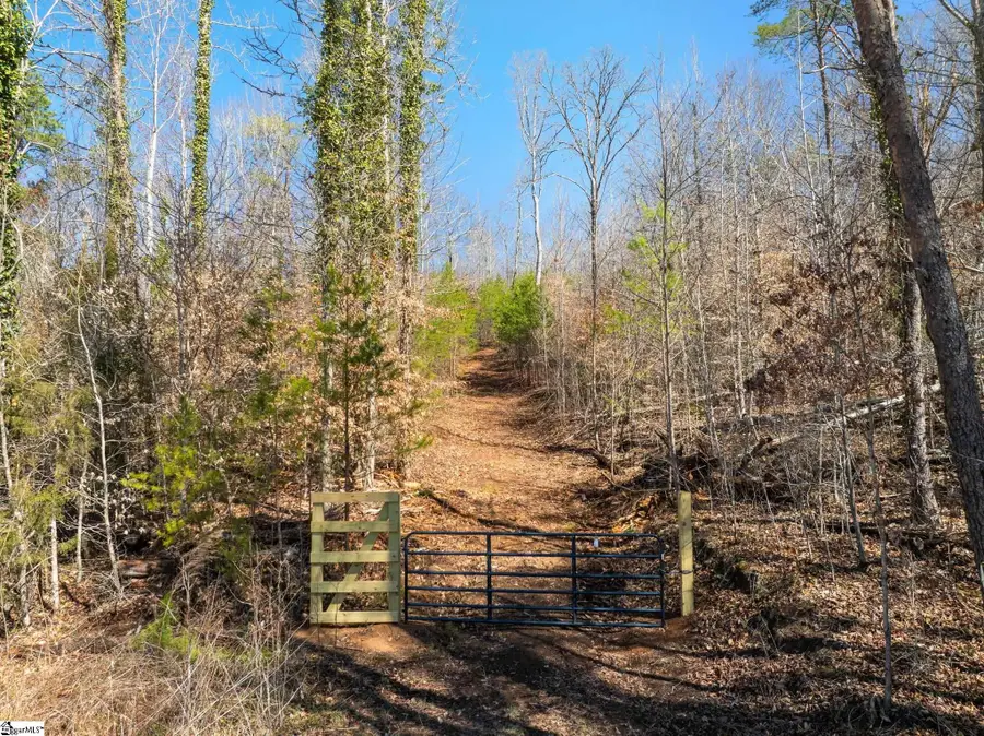 00 Burns Road, Travelers Rest, SC 29690 - #2