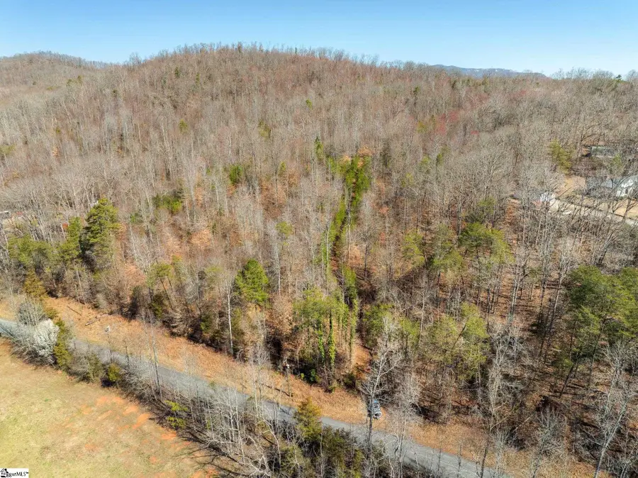 00 Burns Road, Travelers Rest, SC 29690 - #3