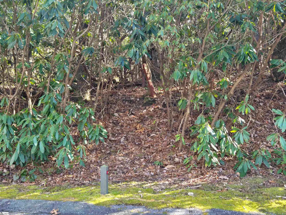 620 Cliff Ridge Drive, Cleveland, SC 29635 - #1