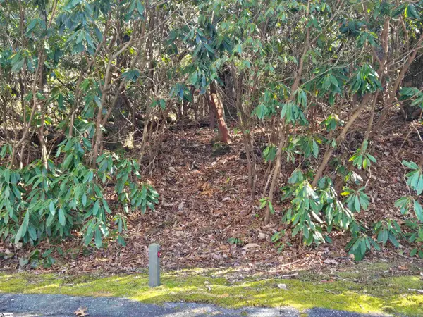 620 Cliff Ridge Drive, Cleveland, SC 29635