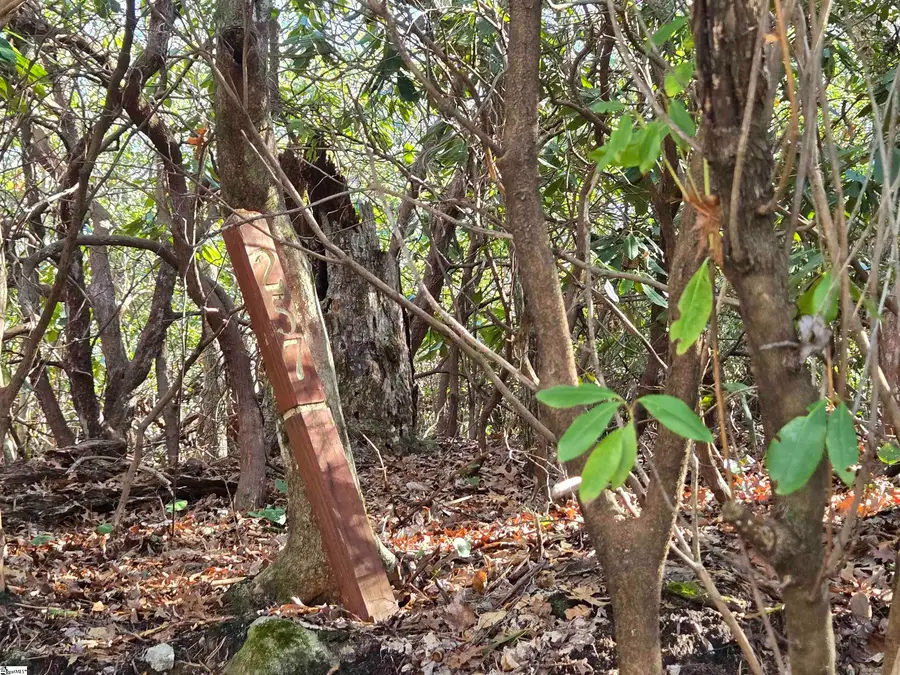 620 Cliff Ridge Drive, Cleveland, SC 29635 - #2