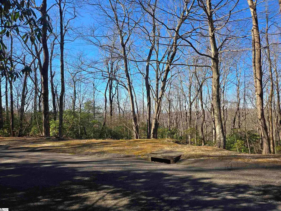 620 Cliff Ridge Drive, Cleveland, SC 29635 - #3