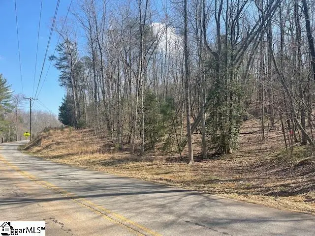 Address Withheld By Seller, Marietta, SC 29661 - #3