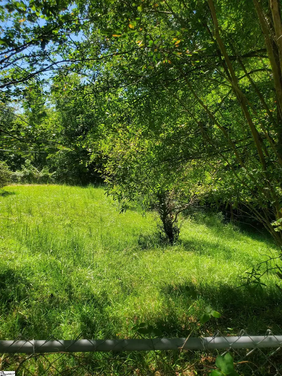 0 George Street, Spartanburg, SC 29306 - #3