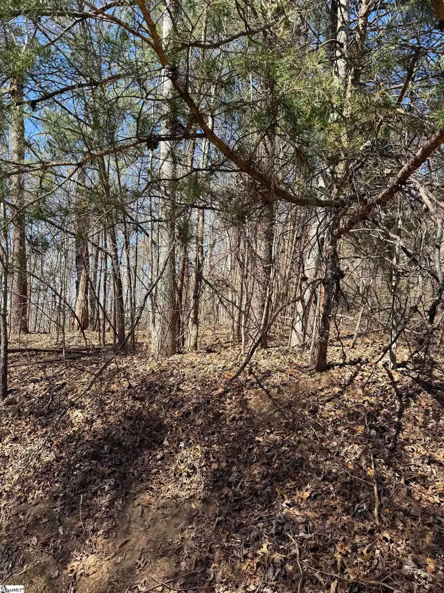 Link Ledge #Lot 17, Travelers Rest, SC 29690 - #3