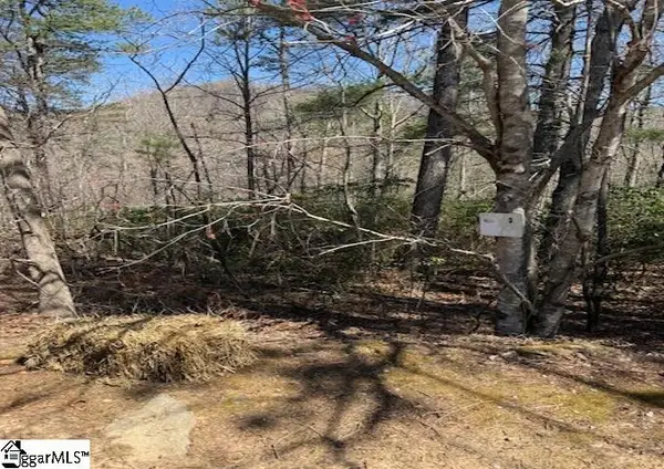 25 Lake Hill Lane, Travelers Rest, SC 29690