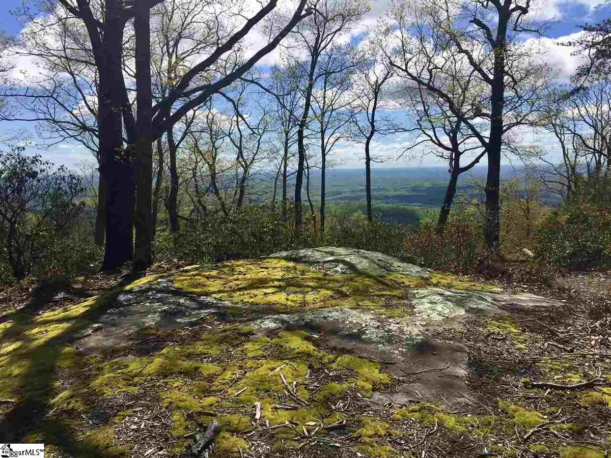 401 Stony Road, Landrum, SC 29356 - #1