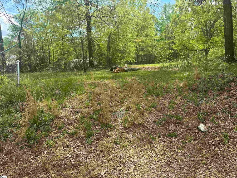 101 W Bluford Street, Clinton, SC 29325 - #3