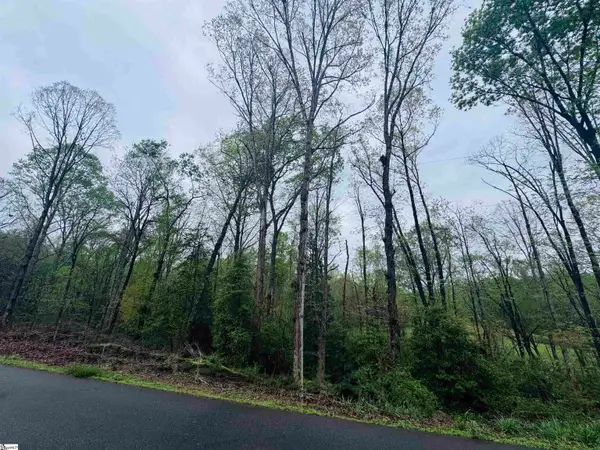 0 Country Glen Lane #Lot 5B, Pelzer, SC 29669