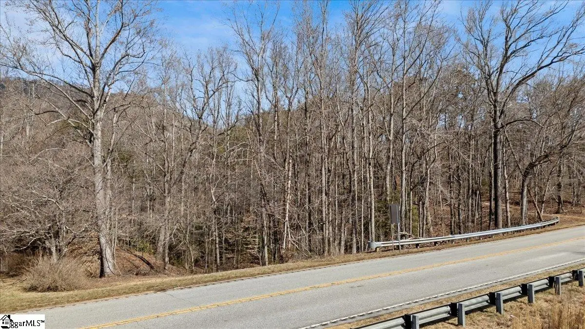 00 Cherokee Foothills Scenic Highway, Landrum, SC 29356 - #1