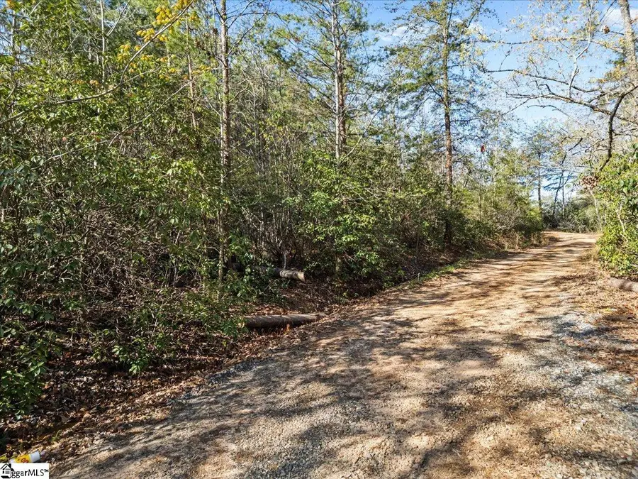 00 Red Bird Hill Lane, Pickens, SC 29671 - #2