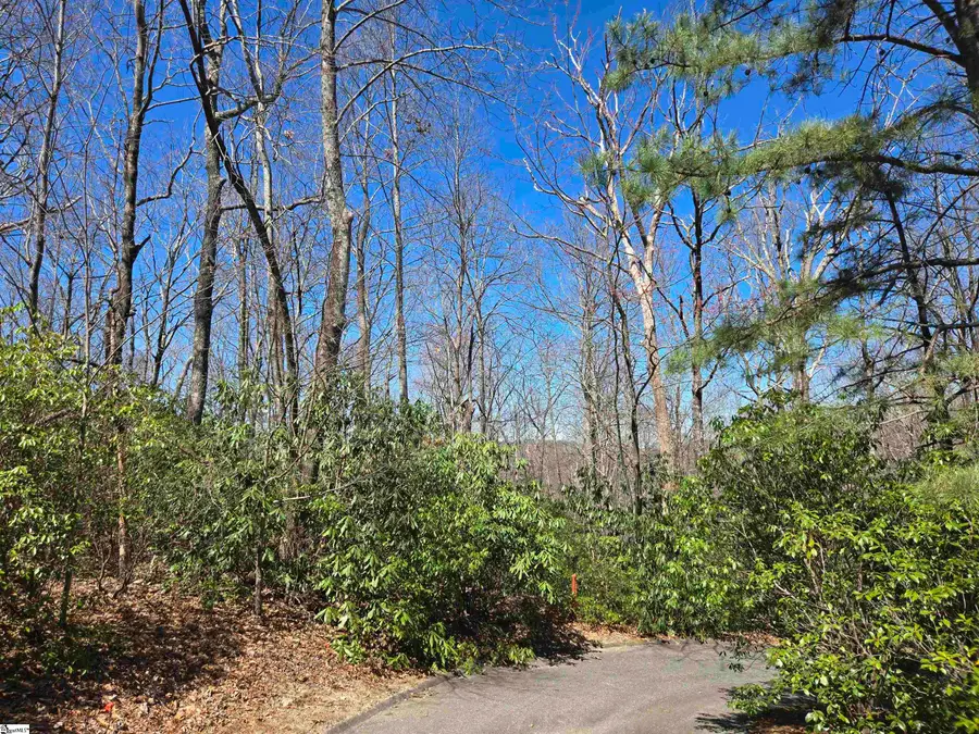 11 Larkspur Lane, Cleveland, SC 29635 - #2