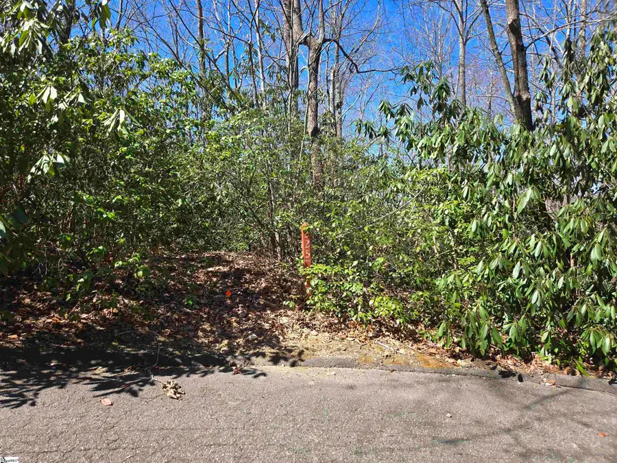 11 Larkspur Lane, Cleveland, SC 29635 - #3