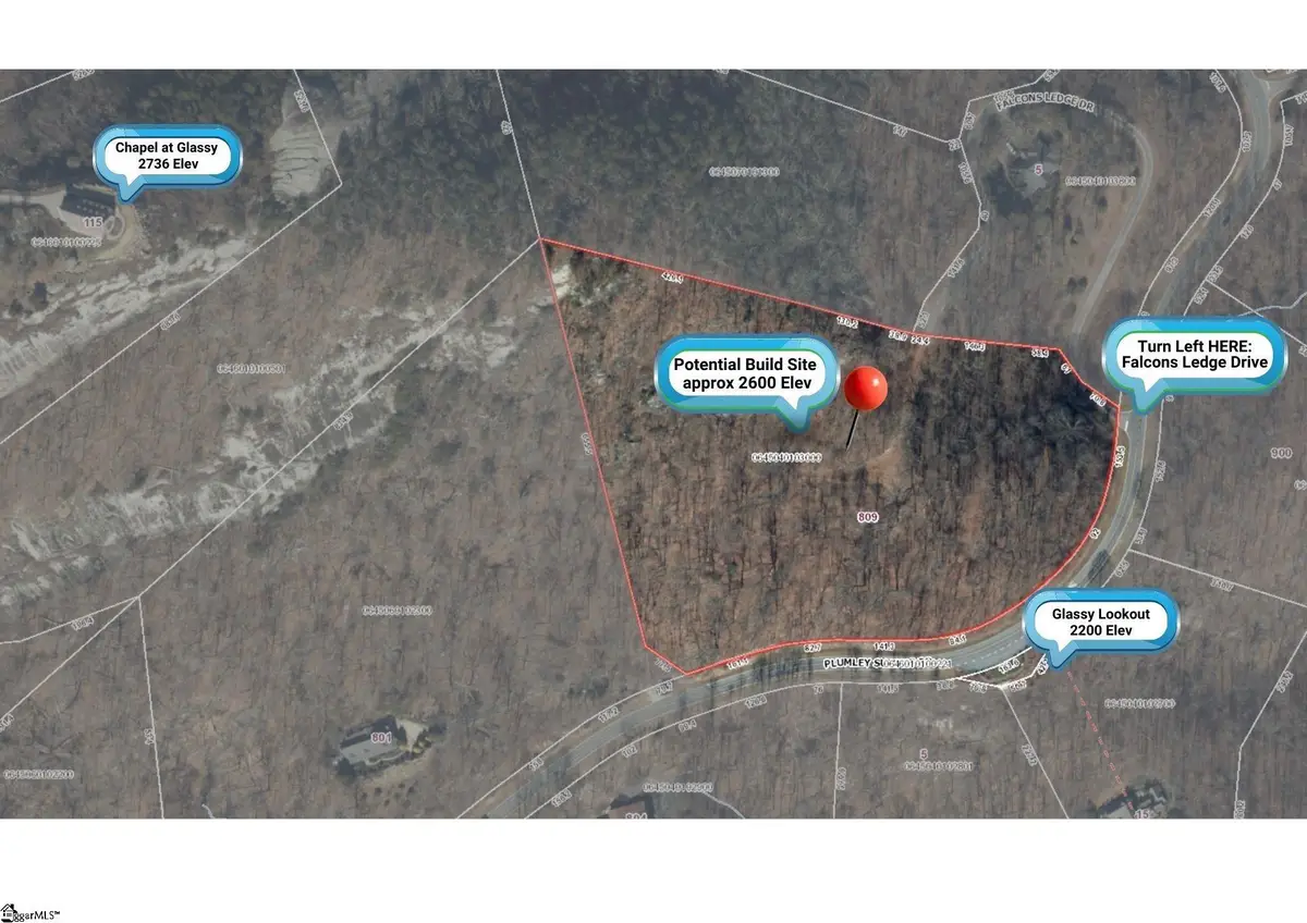 809 Plumley Summit Drive, Landrum, SC 29356 - #1