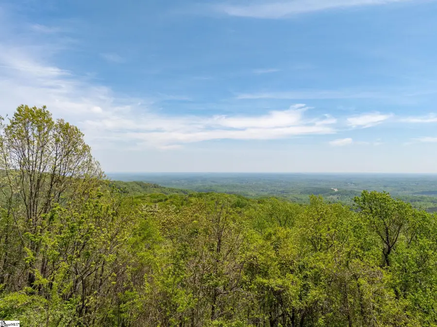 809 Plumley Summit Drive, Landrum, SC 29356 - #3