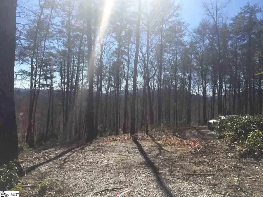 18 Angle Stone Way, Travelers Rest, SC 29690 - #3