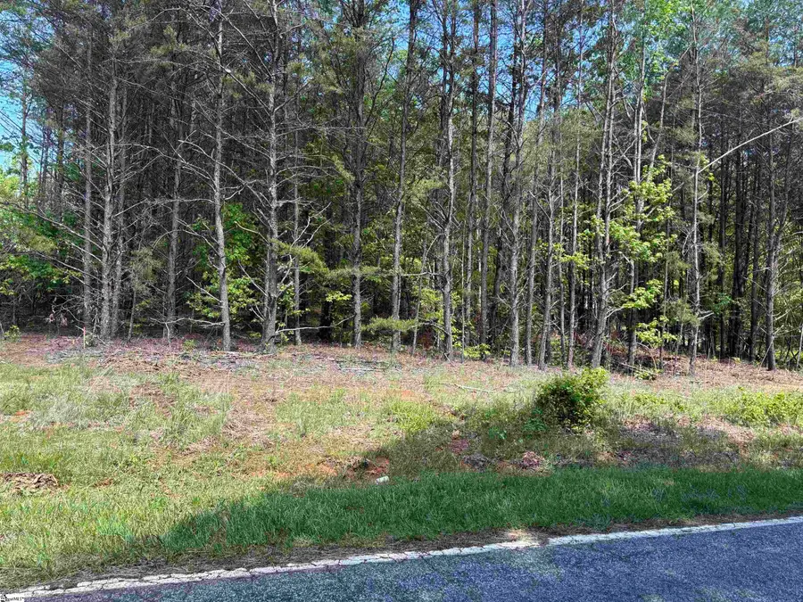 1940 Pleasant Hill Road #LOT 3-B, Greer, SC 29651 - #3