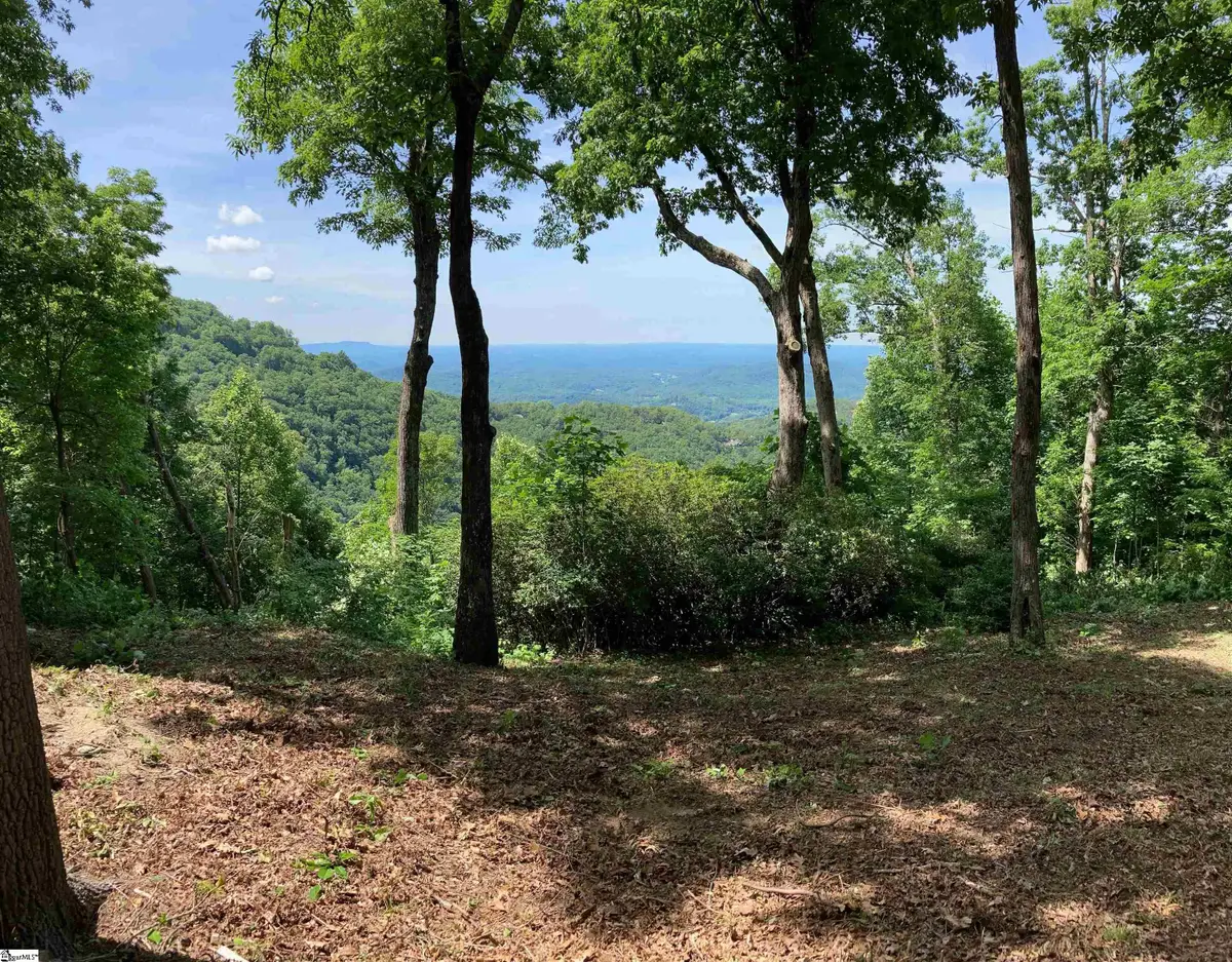 1399 Mountain Summit Road, Travelers Rest, SC 29690 - #1