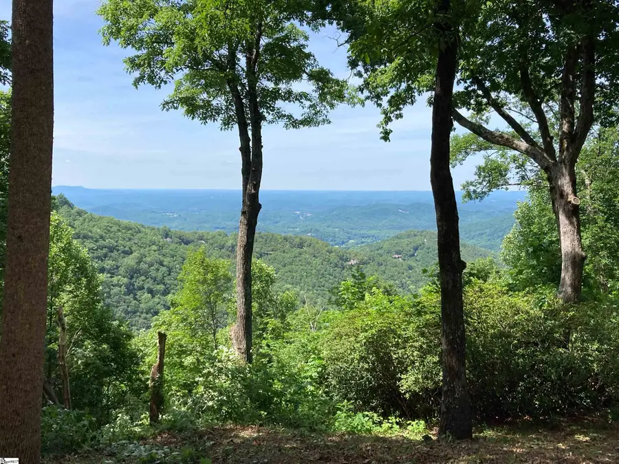 1399 Mountain Summit Road, Travelers Rest, SC 29690 - #3