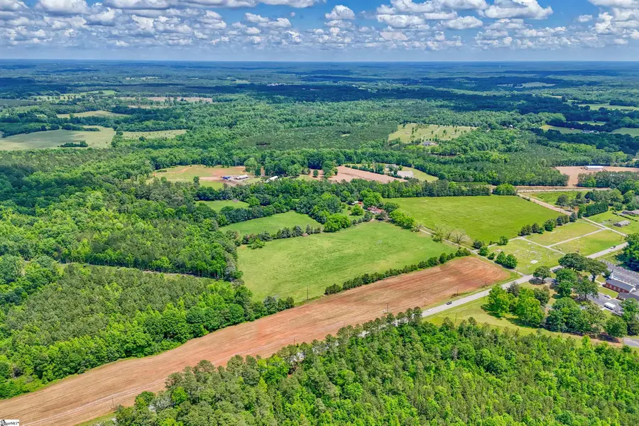4961 221 Hwy S, Laurens, SC 29360 - #3